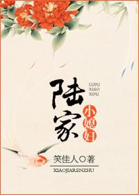 陆家小媳妇主要讲什么