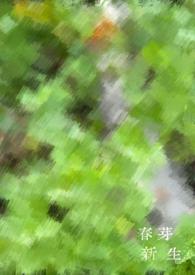 春芽新茶