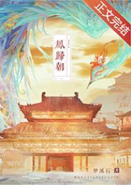 凤归朝梦溪石讲了什么