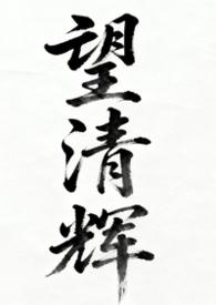 望清txt