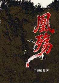 凰殇女尊by殷玦儿讲的什么