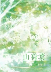 山荷叶花语和寓意是什么