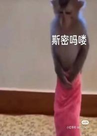 泡芙小姐泳衣是第几集出现的