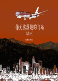 像无法落地的飞鸟全文
