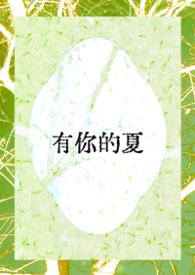 有你的夏天歌词是什么意思