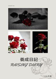 养成记游戏