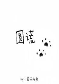 张宇唱的圆谎歌词含义