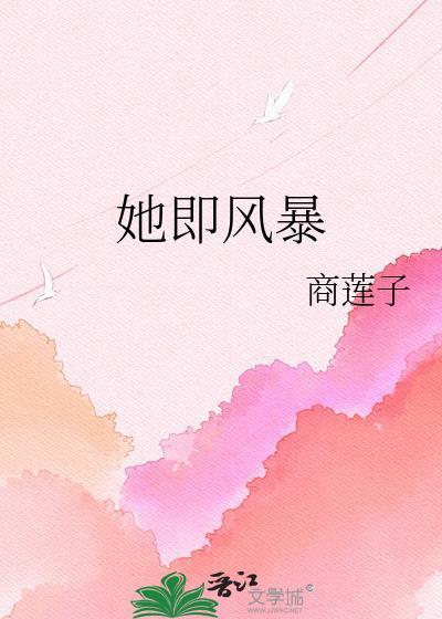 她即风暴by商莲子免费