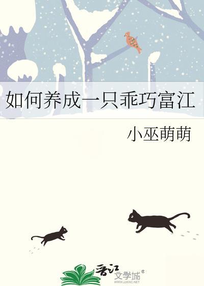 如何饲养一只乖巧