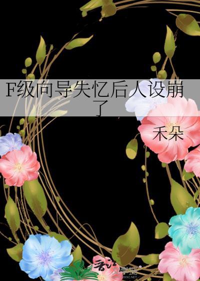 F级向导