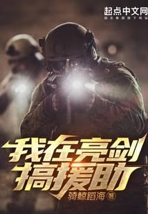 我在亮剑搞援助有声