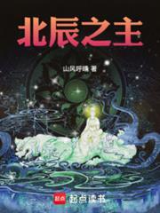 北辰之主TXT百度