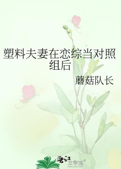 塑料夫妻了解一下全文阅读