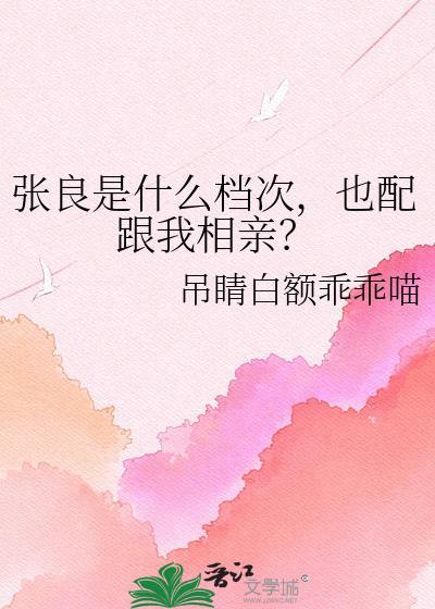 张良是什么人物