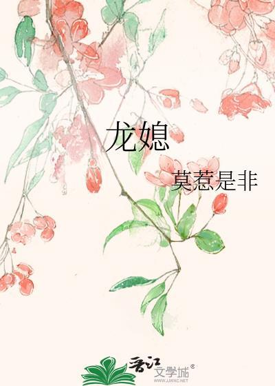 龙媳txt
