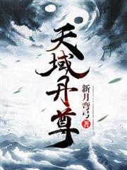 天域丹尊境界