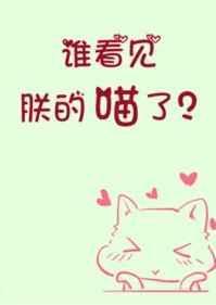 谁看见朕的喵了百度