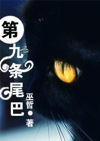 第九条尾巴车在第几章