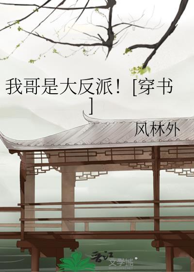 我哥是大反派穿书风林外TXT
