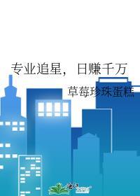 追星最方便的职业