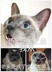 死而复生变成了老太婆