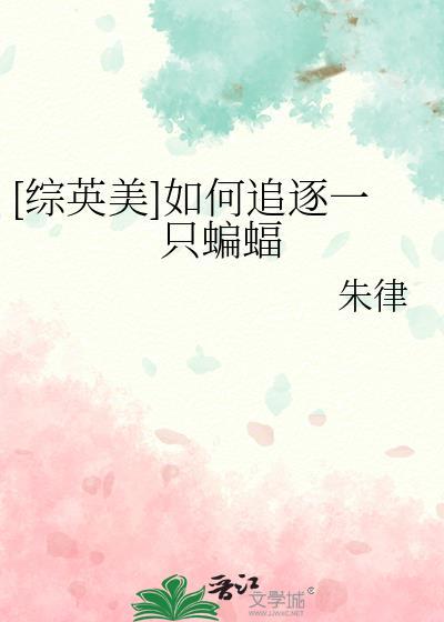 如何追逐一只蝙蝠 朱律
