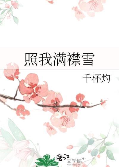 照我满襟雪TXT免费阅读