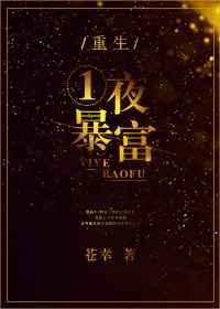 重生之一夜暴富