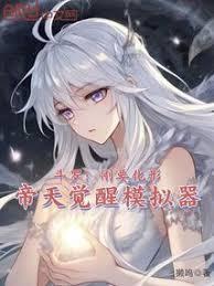 帝天觉醒模拟器QQ