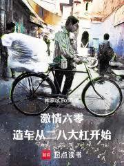 激情六零造车从二八大杠开始 作者更上十层楼