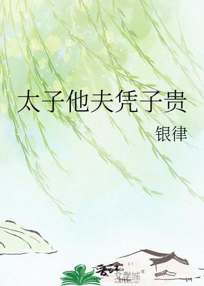 太子他夫凭子贵全文txt