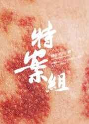 特殊案件调查组ii