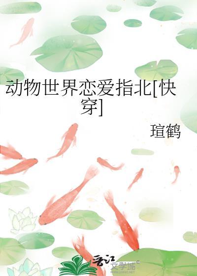动物世界的恩爱