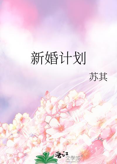 新婚计划TXT