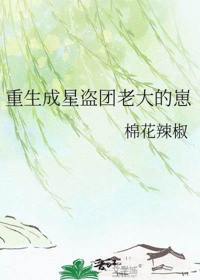 重生成星盗团老大的崽20