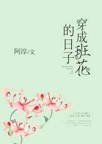 穿越成班花的日子txt