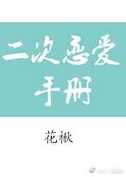 二次恋爱电视剧