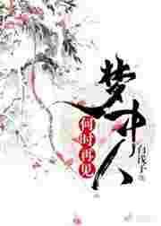 何时再见梦中人歌词