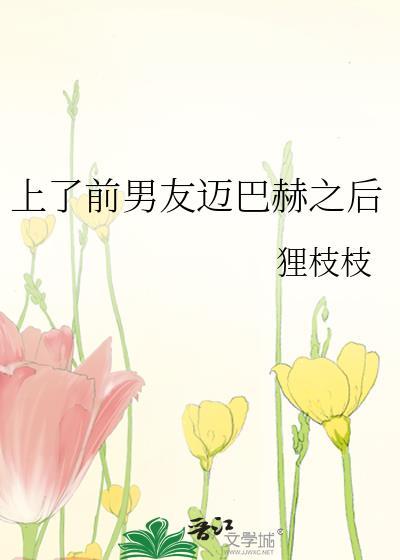 上前男友迈巴赫之后阅读