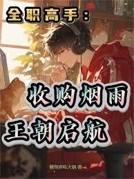全职高手风城烟雨银武