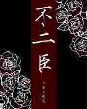 不二臣完结了吗