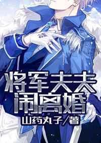 将军夫夫闹离婚剧透