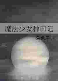 魔法少女系列大全