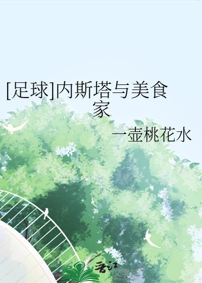 内斯塔效力的球队