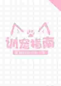 训宠类