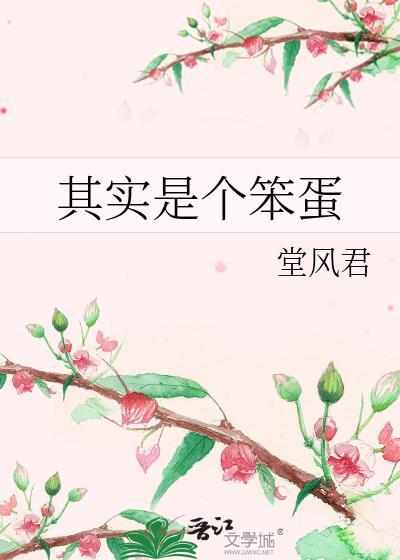 真是一个笨蛋