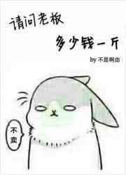 老板10元市场价多少钱