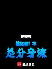 模拟器不是分身流笔趣阁