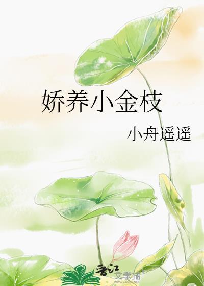 娇养小金枝百度TXT