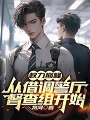 权力巅峰从借调警厅督查组开始TXT